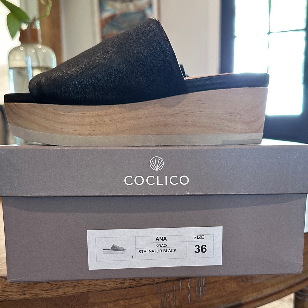 Coclico Black Leather Platform Shoes